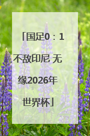 国足0：1不敌印尼 无缘2026年世界杯