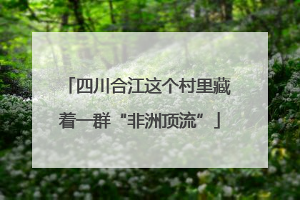四川合江这个村里藏着一群“非洲顶流”