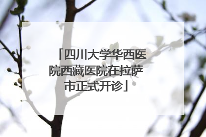四川大学华西医院西藏医院在拉萨市正式开诊