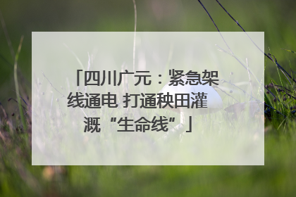 四川广元：紧急架线通电 打通秧田灌溉“生命线”
