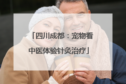 四川成都：宠物看中医体验针灸治疗