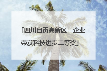 四川自贡高新区一企业荣获科技进步二等奖
