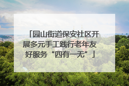 园山街道保安社区开展多元手工践行老年友好服务“四有一无”
