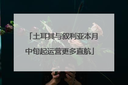 土耳其与叙利亚本月中旬起运营更多直航