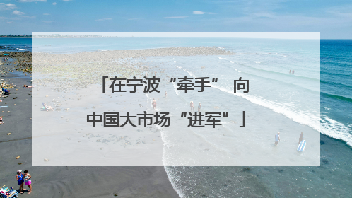 在宁波“牵手” 向中国大市场“进军”