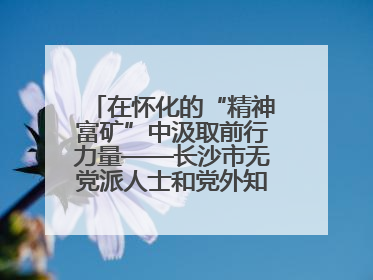 在怀化的“精神富矿”中汲取前行力量——长沙市无党派人士和党外知识分子代表人士培训班在怀化圆满举办