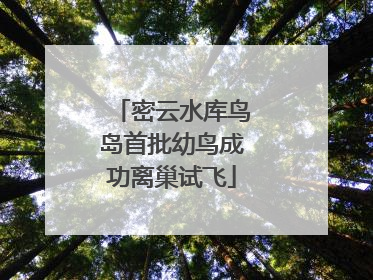密云水库鸟岛首批幼鸟成功离巢试飞