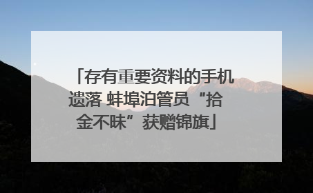 存有重要资料的手机遗落 蚌埠泊管员“拾金不昧”获赠锦旗