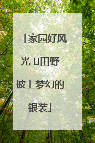 家园好风光 ⎮田野披上梦幻的银装