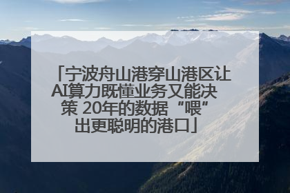 宁波舟山港穿山港区让AI算力既懂业务又能决策 20年的数据“喂”出更聪明的港口