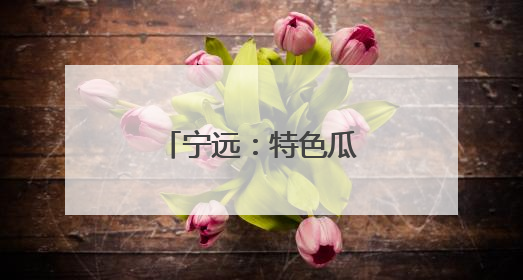 宁远：特色瓜果丰收绘就乡村振兴新图景