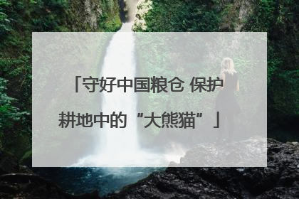 守好中国粮仓 保护耕地中的“大熊猫”