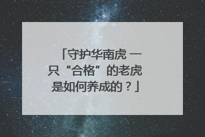 守护华南虎 一只“合格”的老虎是如何养成的？