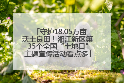 守护18.05万亩沃土良田！湘江新区第35个全国“土地日”主题宣传活动看点多