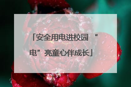 安全用电进校园 “电”亮童心伴成长