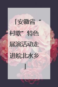 安徽省“村歌”特色展演活动走进皖北水乡