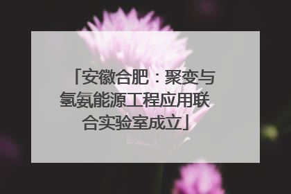 安徽合肥：聚变与氢氨能源工程应用联合实验室成立