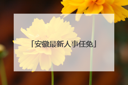 安徽最新人事任免