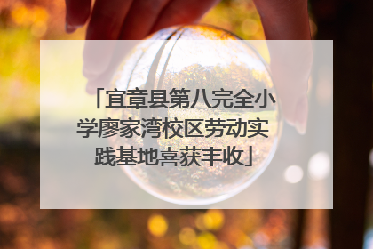 宜章县第八完全小学廖家湾校区劳动实践基地喜获丰收
