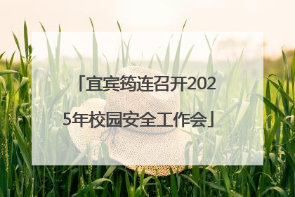 宜宾筠连召开2025年校园安全工作会