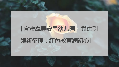 宜宾翠屏安阜幼儿园：党建引领新征程，红色教育润初心
