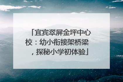 宜宾翠屏金坪中心校：幼小衔接架桥梁，探秘小学初体验