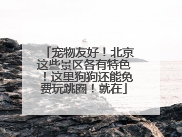 宠物友好！北京这些景区各有特色！这里狗狗还能免费玩跳圈！就在