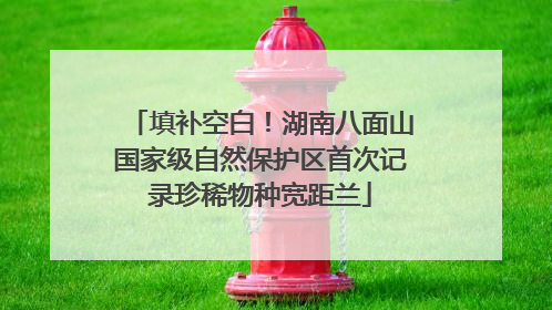 填补空白！湖南八面山国家级自然保护区首次记录珍稀物种宽距兰