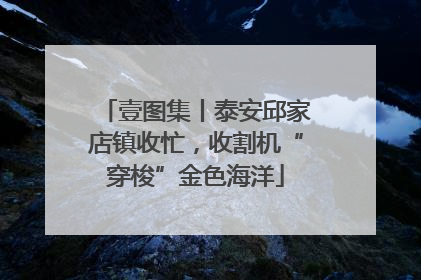 壹图集丨泰安邱家店镇收忙，收割机“穿梭”金色海洋