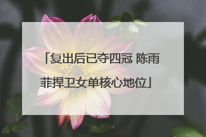 复出后已夺四冠 陈雨菲捍卫女单核心地位