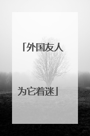 外国友人为它着迷