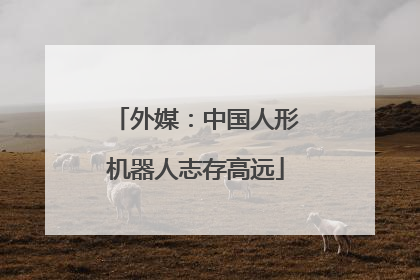 外媒：中国人形机器人志存高远