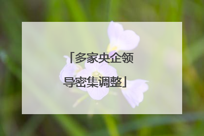 多家央企领导密集调整