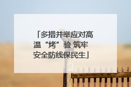 多措并举应对高温“烤”验 筑牢安全防线保民生