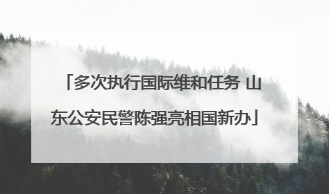 多次执行国际维和任务 山东公安民警陈强亮相国新办