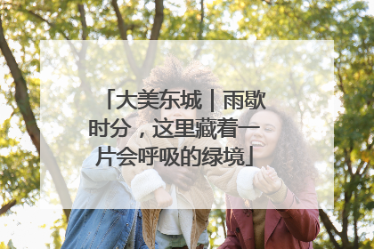 大美东城｜雨歇时分，这里藏着一片会呼吸的绿境