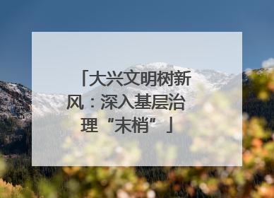 大兴文明树新风：深入基层治理“末梢”