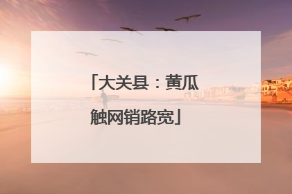 大关县：黄瓜触网销路宽