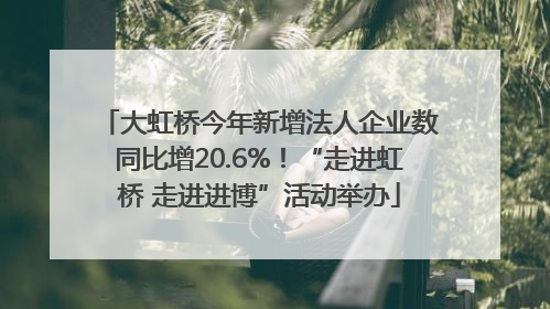 大虹桥今年新增法人企业数同比增20.6%！“走进虹桥 走进进博”活动举办