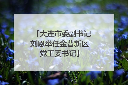 大连市委副书记刘恩举任金普新区党工委书记
