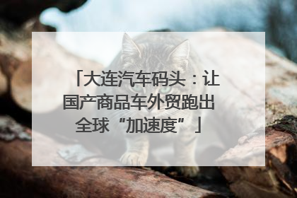 大连汽车码头：让国产商品车外贸跑出全球“加速度”