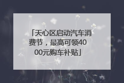 天心区启动汽车消费节，最高可领4000元购车补贴