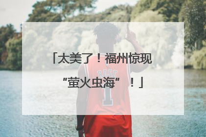 太美了！福州惊现“萤火虫海”！