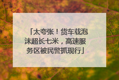 太夸张！货车载泡沫超长七米，高速服务区被民警抓现行