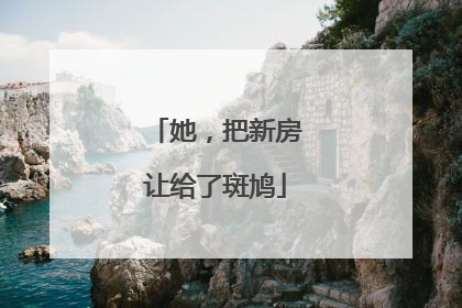 她，把新房让给了斑鸠