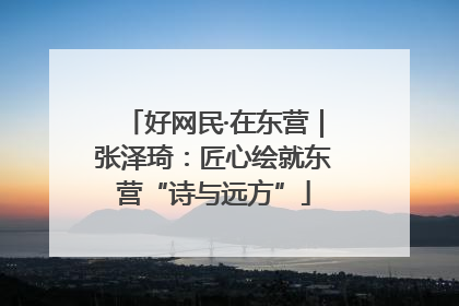 好网民·在东营｜张泽琦：匠心绘就东营“诗与远方”