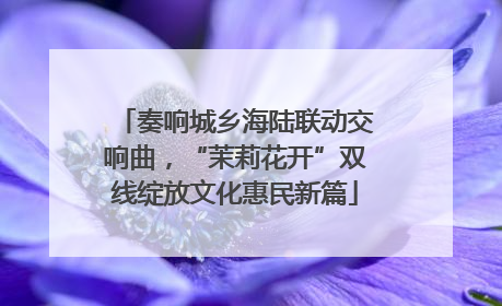 奏响城乡海陆联动交响曲，“茉莉花开”双线绽放文化惠民新篇