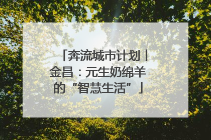 奔流城市计划丨金昌：元生奶绵羊的“智慧生活”