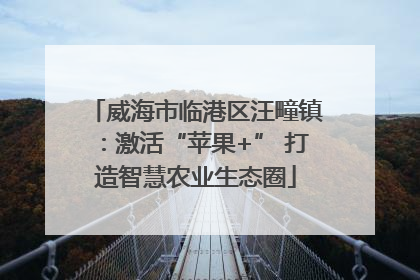 威海市临港区汪疃镇：激活“苹果+” 打造智慧农业生态圈