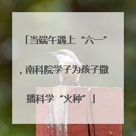 当端午遇上“六一”，南科院学子为孩子撒播科学“火种”